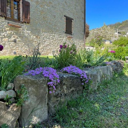 Agriturismo La Casetta - Ospitalita Rurale Familiare Montese Dış mekan fotoğraf