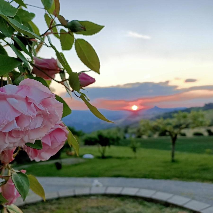 Agriturismo La Casetta - Ospitalita Rurale Familiare Montese Dış mekan fotoğraf